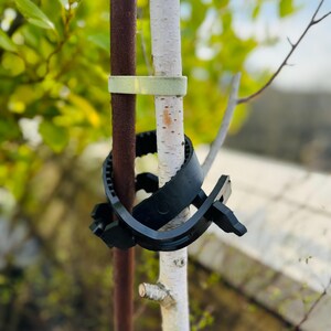 May include: A close-up of two tree trunks tied together with a black plastic tree tie. The tie is designed to help the trees grow straight and strong.