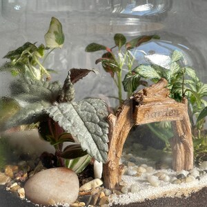 May include: A glass terrarium with a cork lid, featuring a small wooden archway with the word "Garden" inscribed on it. The terrarium is filled with white gravel, small rocks, and various green plants.