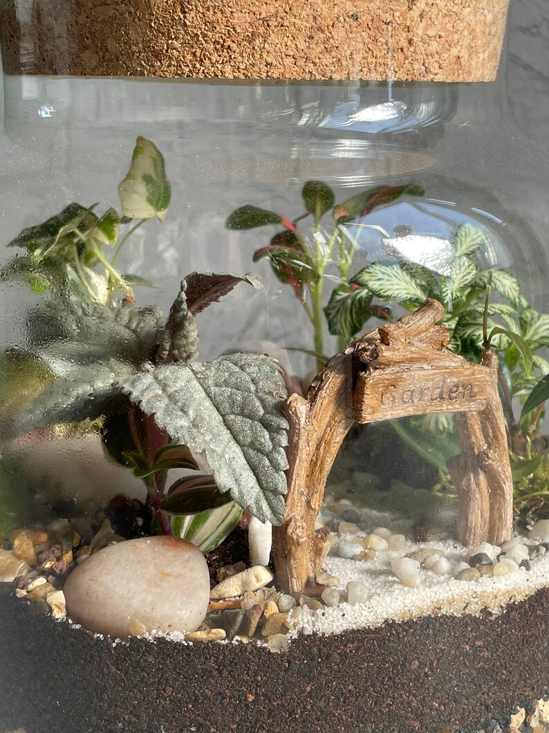 May include: A glass terrarium with a cork lid, featuring a small wooden archway with the word "Garden" inscribed on it. The terrarium is filled with white gravel, small rocks, and various green plants.