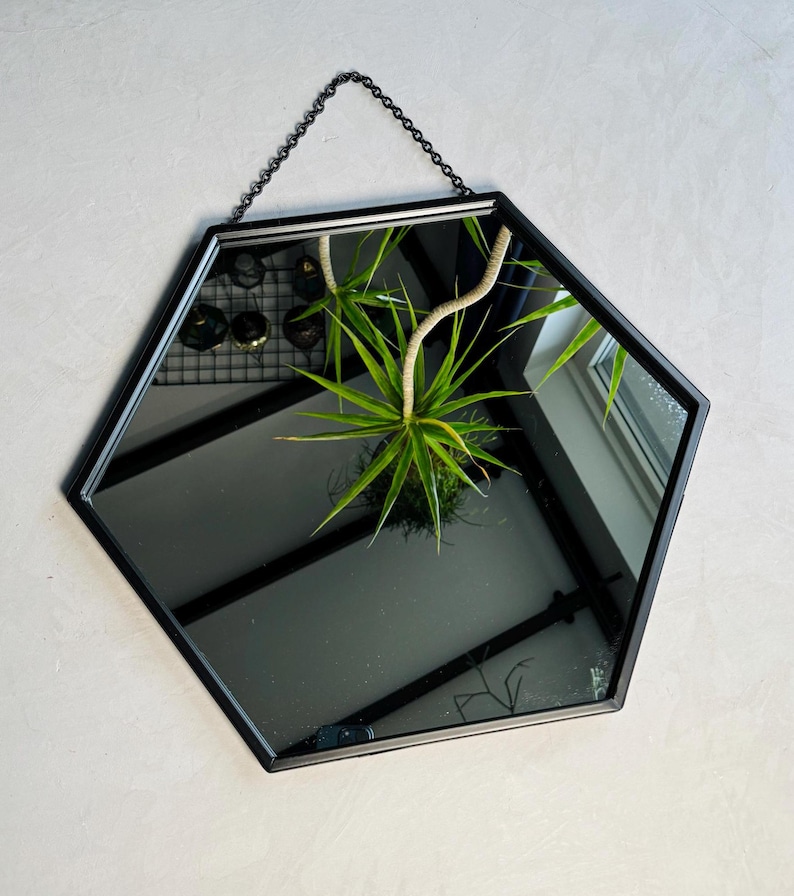 May include: A black hexagonal mirror with a chain for hanging. The mirror reflects a plant with green leaves.
