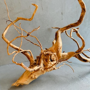 May include: A light brown driftwood branch with a textured surface and multiple offshoots. The wood has a natural, curved shape, with some branches extending upwards. Suitable for home decor or aquariums.