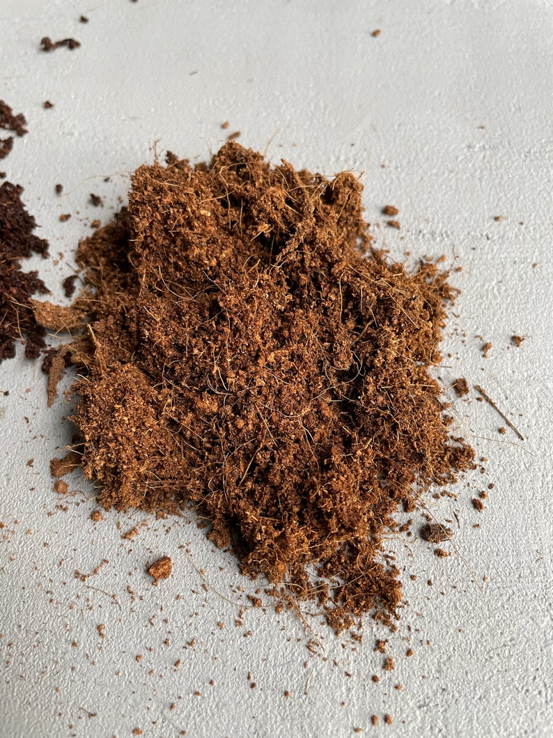 COCO COIR SUBSTRATE High Quality Soil Terrarium Supplies Etsy UK