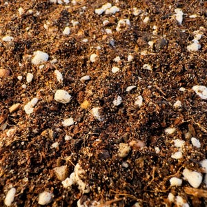 CACTI SUCCULENT SOIL | High Quality Substrate | Desert Plants Supplies | Cacti and Succulent Substrate | Repotting Premium Soil