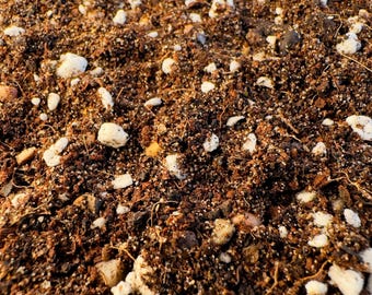 CACTI SUCCULENT SOIL | High Quality Substrate | Desert Plants Supplies | Cacti and Succulent Substrate | Repotting Premium Soil