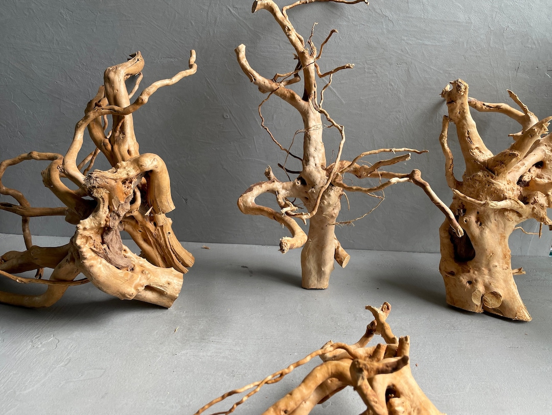 AZALEA REDMOOR ROOTS Terrarium Supplies Decorative Roots Terrarium