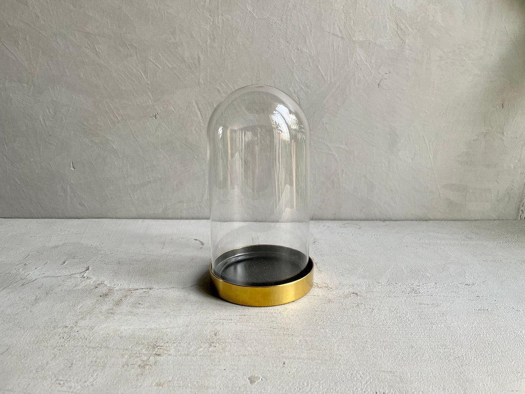 GLASS DOME | Gold Coated Metal Base | Decorative Dome | Home Decoration ...