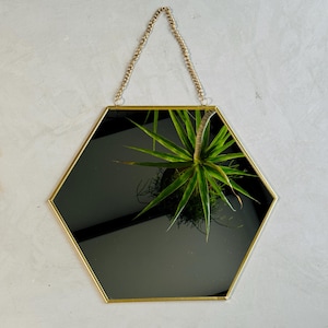 May include: A hexagonal mirror with a gold frame and a chain for hanging. The mirror reflects a green plant.