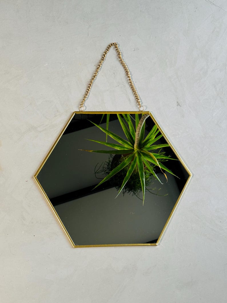 May include: A hexagonal mirror with a gold frame and a chain for hanging. The mirror reflects a green plant.