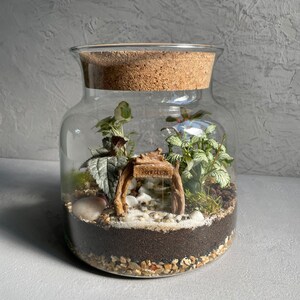 May include: A glass terrarium with a cork lid, filled with small plants, moss, rocks, and a miniature wooden sign that says "Garden".