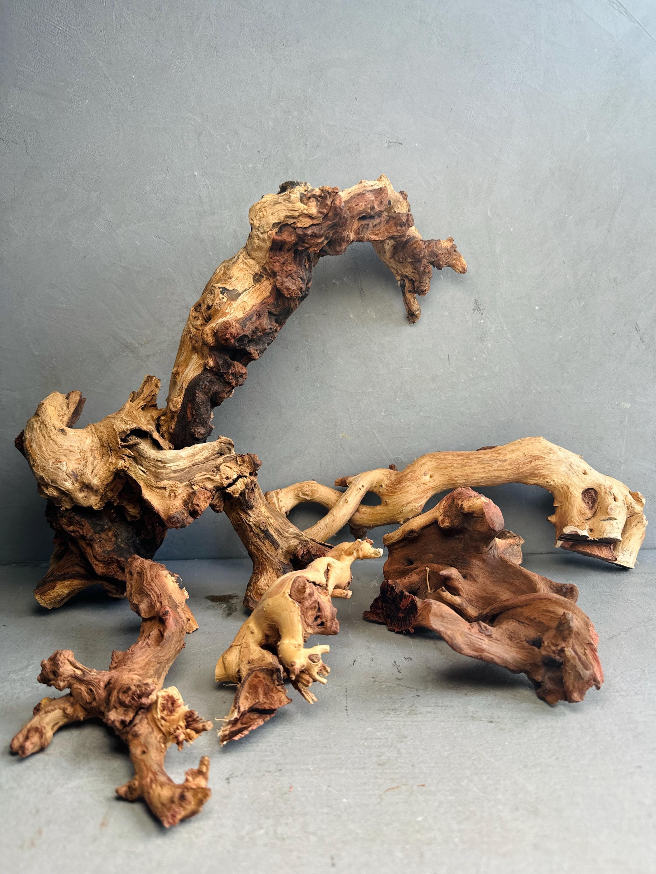 MOPANI DECOR ROOTS - Size S M L X-L | Aquariums | Vivariums