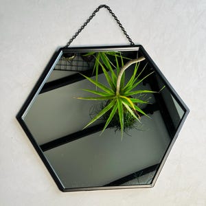 May include: A black hexagonal mirror with a chain hanging from the top. The mirror is reflecting a green plant.