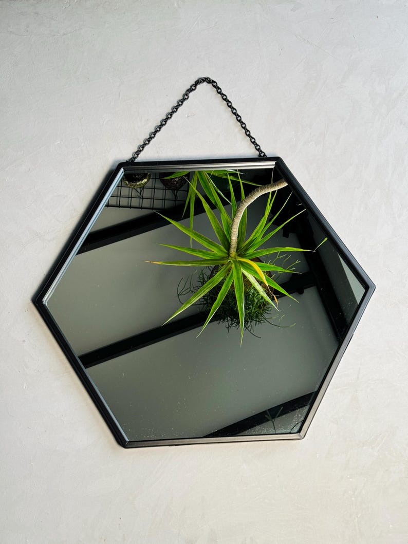 May include: A black hexagonal mirror with a chain hanging from the top. The mirror is reflecting a green plant.