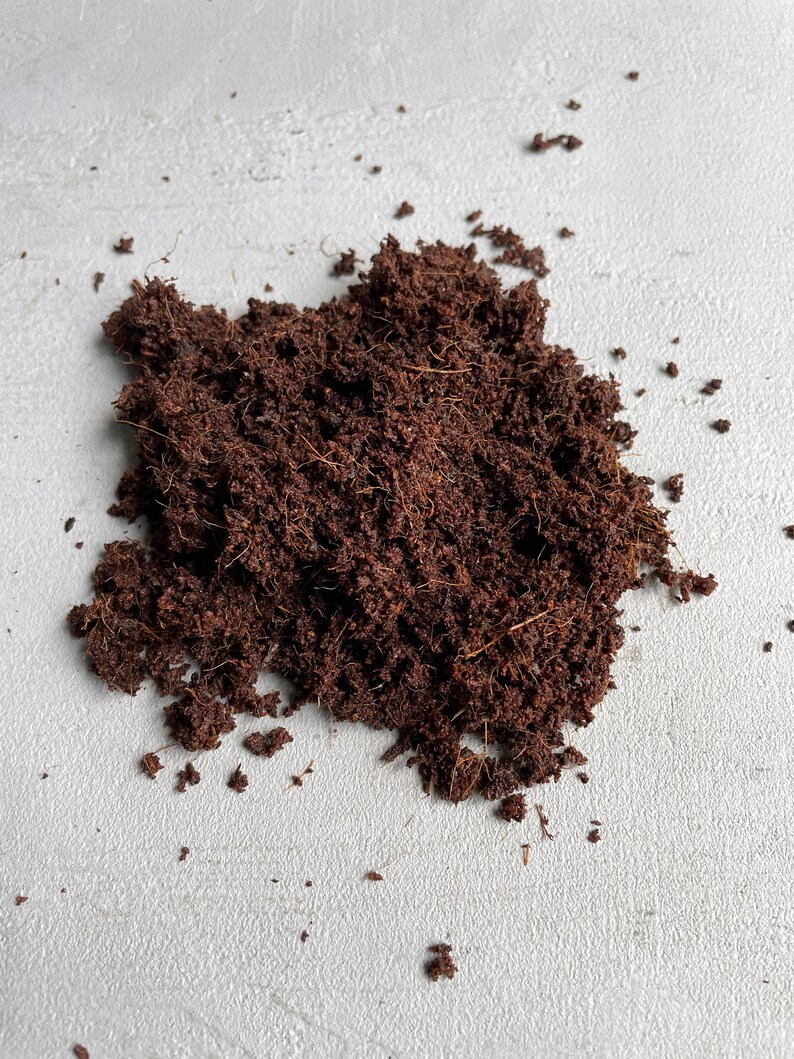 COCO COIR SUBSTRATE High Quality Soil Terrarium Supplies Etsy UK