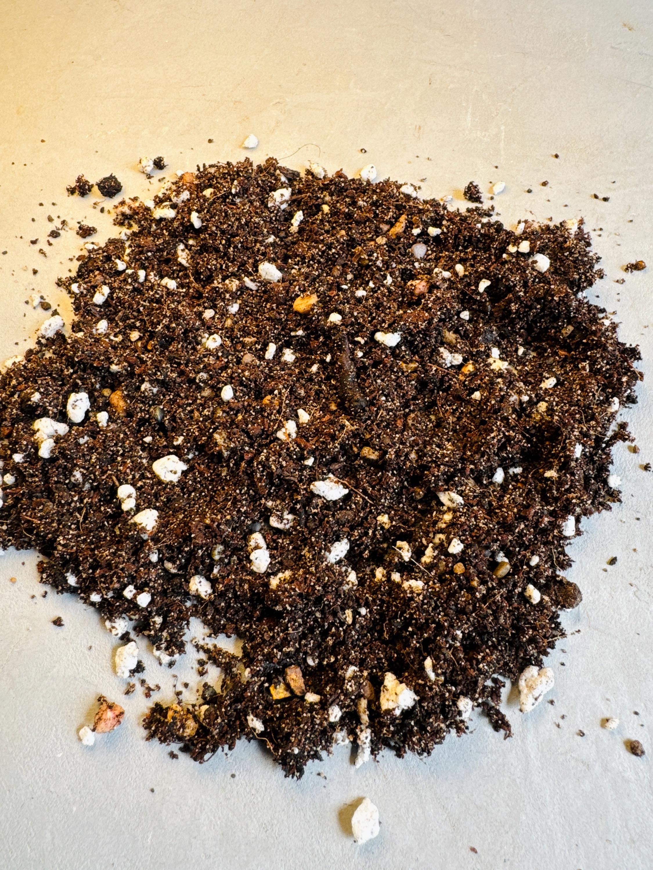 CACTI SUCCULENT SOIL | High Quality Substrate | Desert Plants Supplies ...