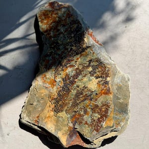May include: A natural, irregularly shaped rock with a mix of colours. The rock features shades of brown, orange, green, and grey, with a textured surface. The stone is likely a decorative or collectible item.