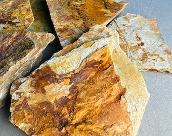 GOLD SMALL RUSTIC Slabs | Terrarium Supplies | Decorative Rocks | Landscaping for Terrarium, Aquarium, Vivarium, Paludarium and Crafts
