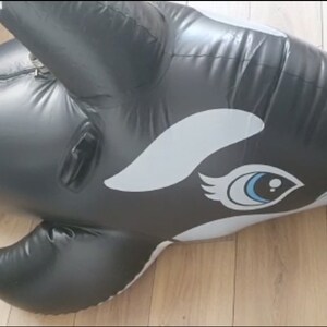 Pool Toy Fetish