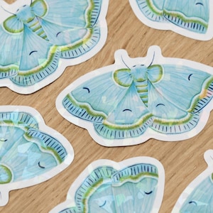 Holographic Moth Sticker