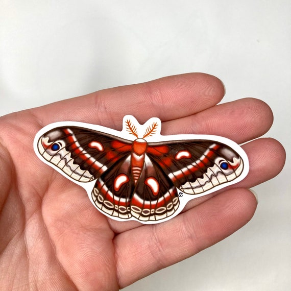 Cecropia Moth Sticker