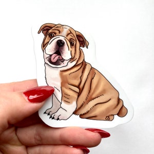 Bulldog Sticker, cute bulldog, dog, vinyl sticker