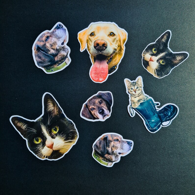 Personalised Die Cut Pet Fridge Custom Etsy