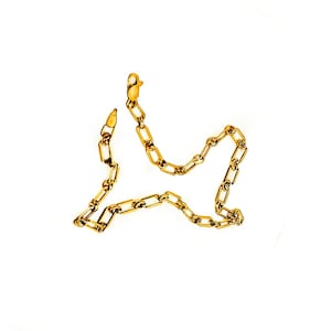 May include: A gold-colored chain necklace with rectangular links and a lobster clasp. The chain is displayed against a white background, highlighting its shiny, metallic appearance. The necklace is a jewelry item.