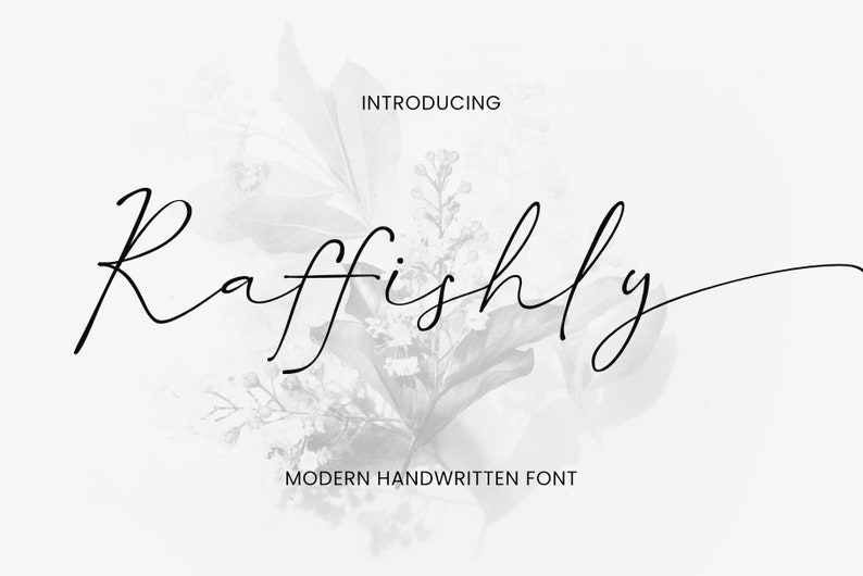 May include: A monochrome graphic showcasing the word "Raffishly" in a cursive, handwritten style. The text is accompanied by the words "Introducing" and "Modern Handwritten Font". A blurred floral design provides a subtle backdrop.