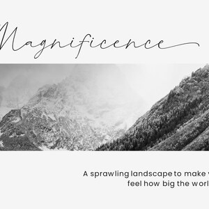 Instant Download, Commercial Use Font, Raffishly, Modern Script Font, Wedding Font, Love Font, Swash Font, Chic Font, Elegant Font, Fashion image 3