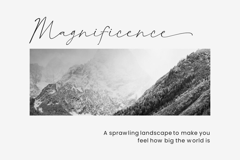 Instant Download, Commercial Use Font, Raffishly, Modern Script Font, Wedding Font, Love Font, Swash Font, Chic Font, Elegant Font, Fashion image 3