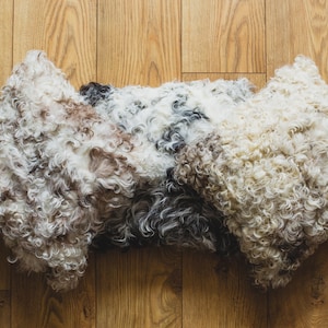 Spanish Sheepskin Cushion - Curley Tigrado Shearling Sheepskin - Nordvek - Pillow - 35 x 35cm - 9016
