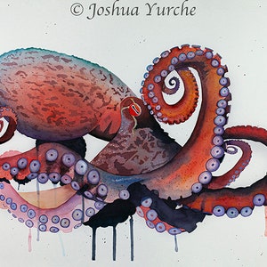 Living Color - Watercolor Octopus Painting - Original work