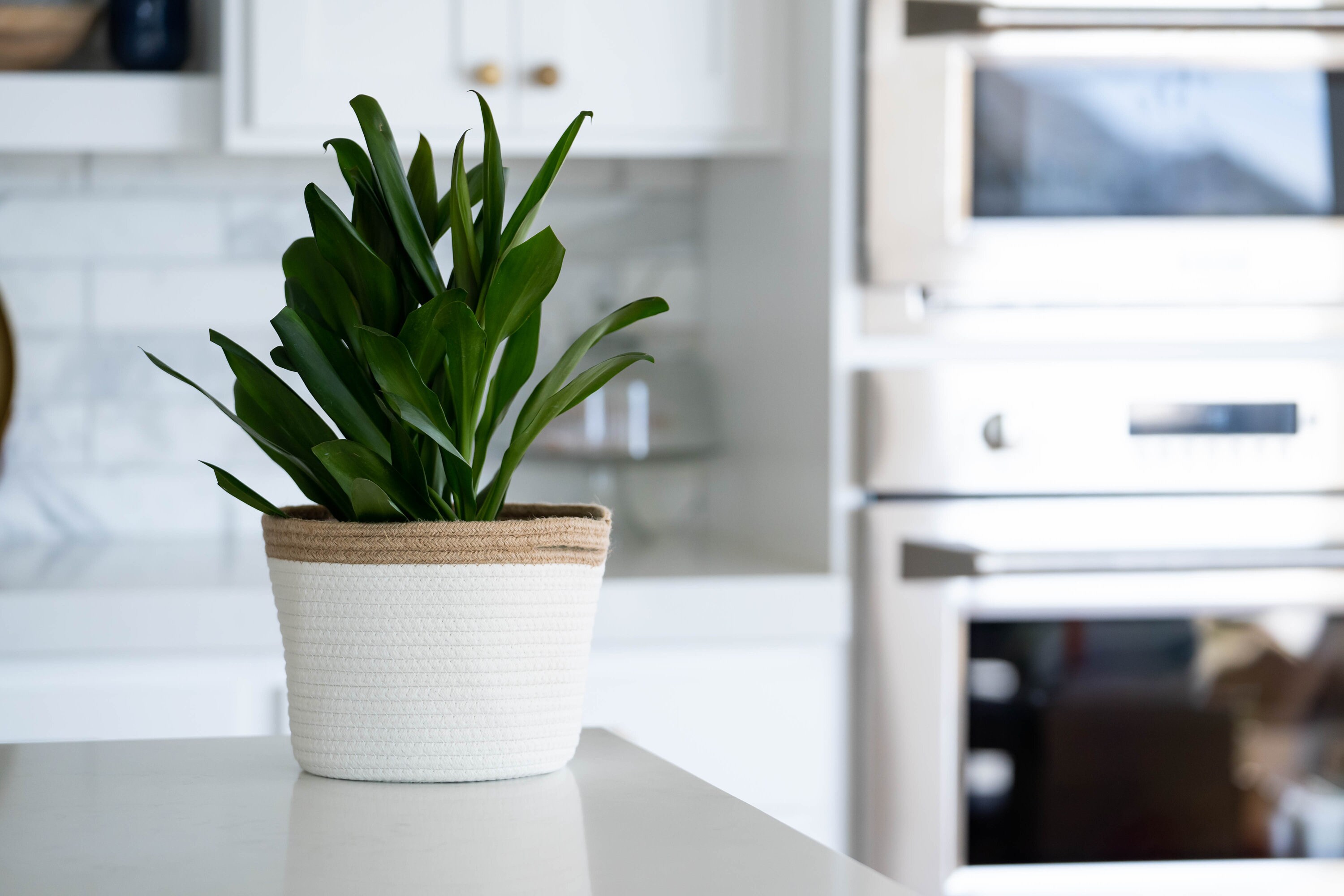 2pc Large Blanket Basket for Nursery or Living Room Woven Etsy