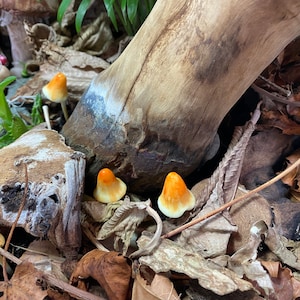 Glowing orange polymer clay mushrooms