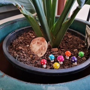 Mini rainbow polymer clay toadstools