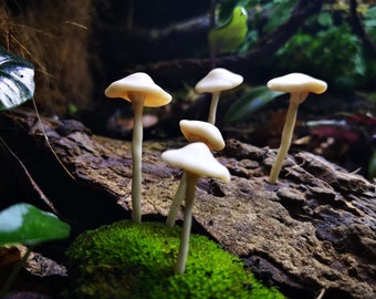 Natural beige polymer clay mushrooms