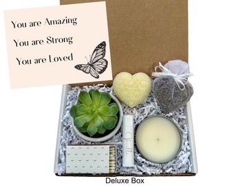 Encouragement Gift Box for Friend with Succulent and Candle |  Positivity Gift | Sending You Love Care Package | Quick Ship