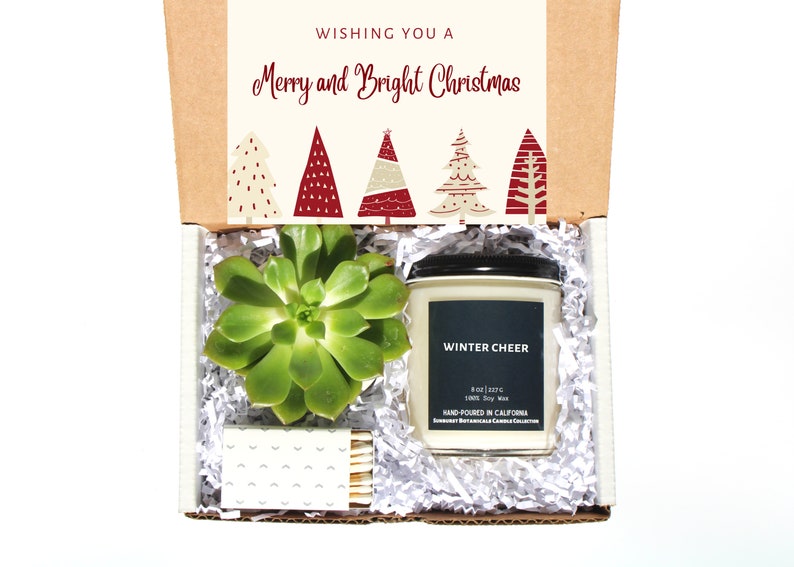 Christmas Succulent & Candle Gift Box