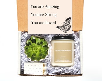Encouragement Gift Box - Succulent Gift Box, You Are Loved Gift, Gift for Friend, Positivity Gift, Sending You Love Gift