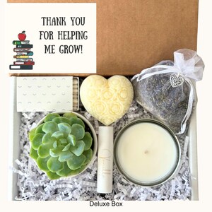 TEACHER APPRECIATION Gift Box with Candle & Succulent, Live Plant Present from Student, Thank you Teacher, Pamper Spa Set, Self Care Package