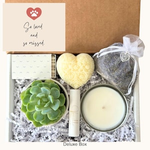 Pet Loss Gift Box - Succulent and Candle, Bereavement Gift Set, Pet Memorial Grief Box, Condolence Pet Sympathy Care Package, Spa Basket