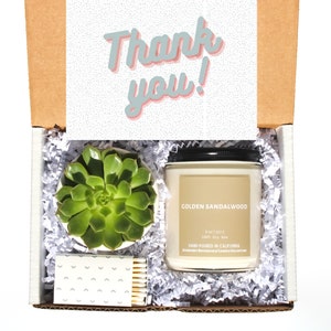 Thank You Gift Box - Succulent Gift Box, Thank You Gift, Thank You Package, Gift for Teacher, Gift for Coworker, Gift for Corporate