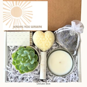 SENDING YOU SUNSHINE Succulent and Candle Gift Box, Cheering Up, Self Care Package, Pamper Spa Set, Love and Hugs, Thinking of You Friend