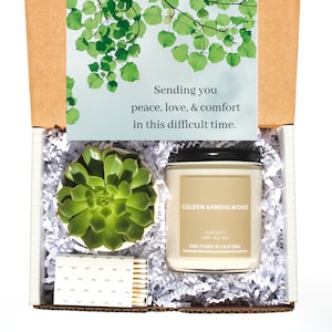 Sending PEACE LOVE and Comfort Gift with Succulent and 8 oz Candle -Grief Care Package -Sympathy Gift -Loss of Father, Mother, Child, Friend
