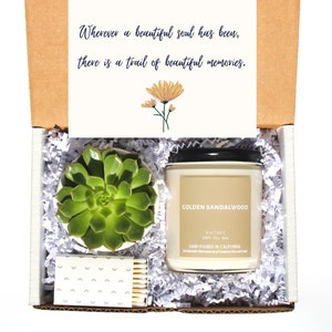 Grief Gift Box - Succulent Gift Box, Sympathy Gift, Gift for Loss, Gift for Grieving Friend, Bereavement Gift, Grief Box, Sympathy Gift