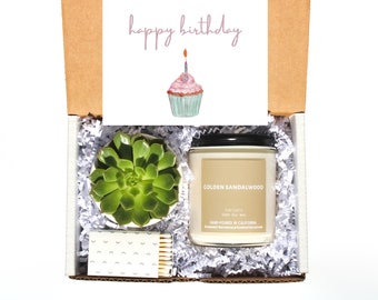 Happy Birthday 8 oz Candle and Succulent Gift Box, Perfect for Family, Friend, Co-Worker, Aromatherapy Set, Birthday Cupcake, Live Plant