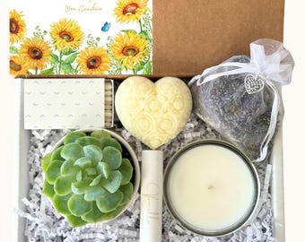 Sending You Sunshine, Succulent Gift, Sunflower, Comfort Care Package, Spa Basket, Thinking of You, Gift for Friend, Spa Set for Women