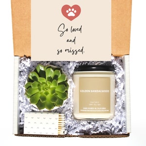 Pet Loss Gift Box - Succulent Gift Box, Sympathy Gift, Gift for Loss, Gift for Pet Loss, Bereavement Gift, Grief Box, Sympathy Gift