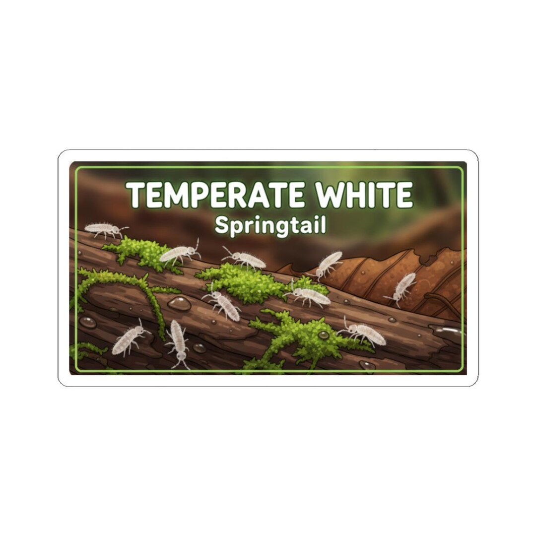 Temperate White Springtail Isopod Bin Label Stickers - Etsy