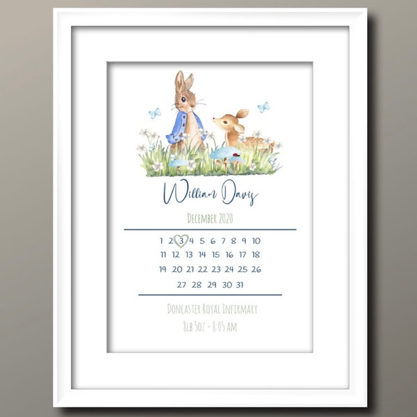 Peter Rabbit Cross Stitch Birth Announcement Etsy