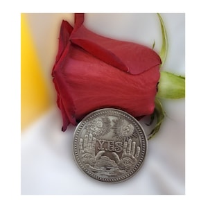 Decision Coin, Yes and No divination,Oracle Coin, Metaphysical, prediction coin